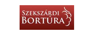 Kisbusz bérlés, szekszárdi bortúra kisbusszal.